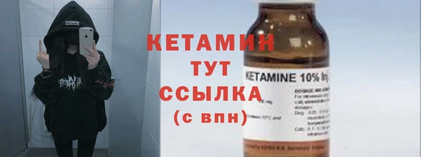 прущие грибы Вязьма